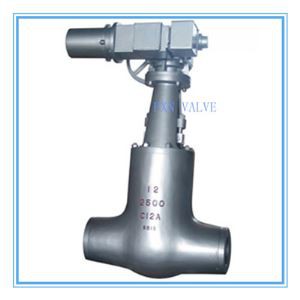 Critical Gate Valve for Power Plant